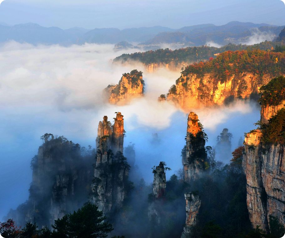 Quartz-sandstone pillars rising through a sea of cloud at sunrise, Zhangjiajie