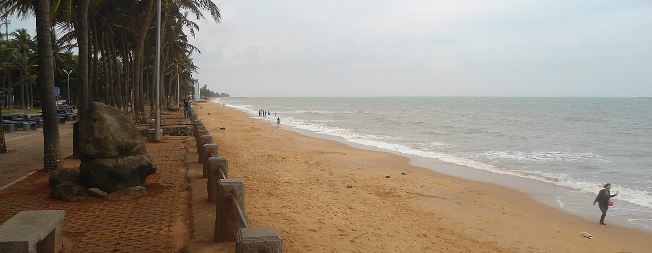 Palm trees along the golden sand of Holiday Beach beside the calm sea